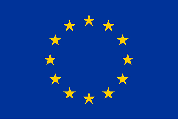 EU Flag Icon